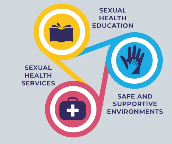 Three connected circular icons representing sexual health education, services, and safe supportive environments
